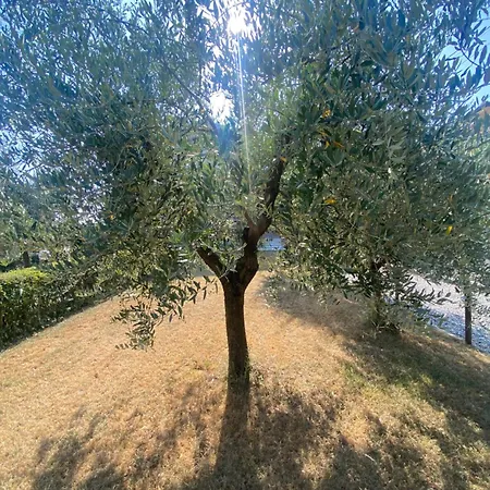 Apartment Casa Nina